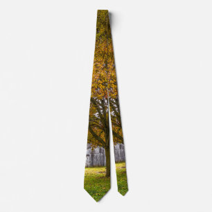 Corbata Árbol De Otoño Y Pentágono De Cuello De Pañuelo