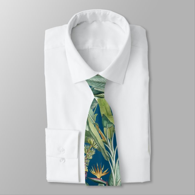 Corbata Árbol de plátano de selva tropical verde Strelitzi (Atado)