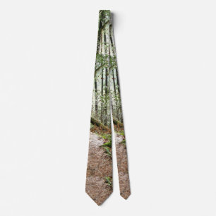 Corbata Árboles de las hojas de maderas del bosque de la