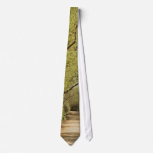 Corbata Árboles forestales Bosques Senderismo Senderos Es