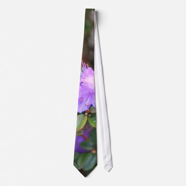 Corbata arbusto florecido de azalea púrpura (Anverso)