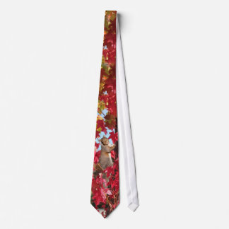Corbata Ardilla en árbol rojo del otoño