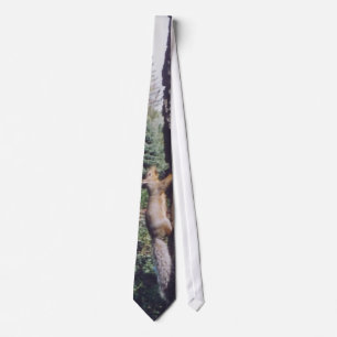 Corbata Ardilla gris - lazo
