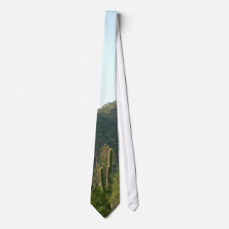 Corbata Arizona