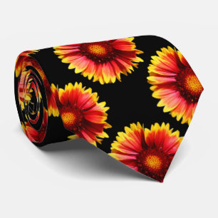 Corbata Arizona Sun Blanketflowers