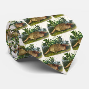 Corbata Armadillo de nariz larga y nueve bandas de Audubon