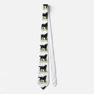 Corbata Arte Plano-Revestido del perro perdiguero