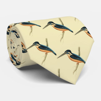 Corbata Asiático Kingfisher
