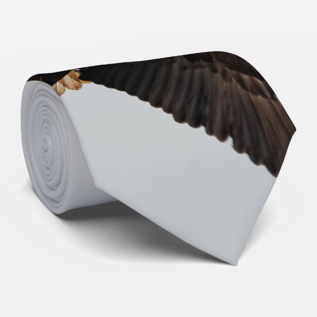 Corbata Asombroso águila calva lleva al cielo (Enrollado)