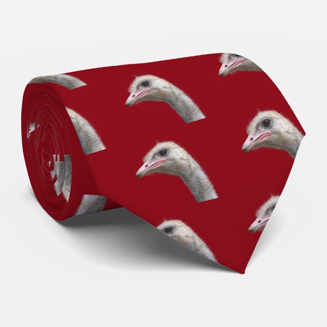 Corbata Astrato común (Enrollado)