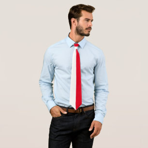 Corbata Ataque de la bandera polaca