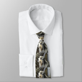 Corbata Aussie