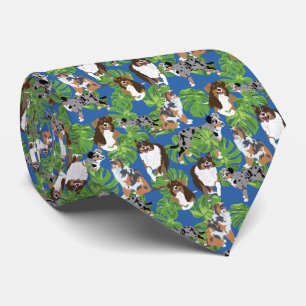 Corbata Aussies Pastores Australianos Perros Tropicales