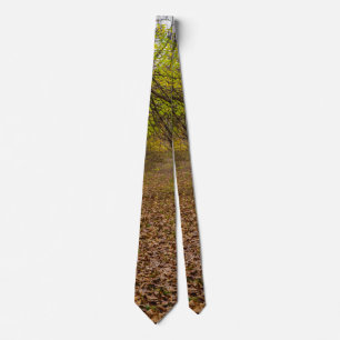 Corbata Autumn Walkway Tie