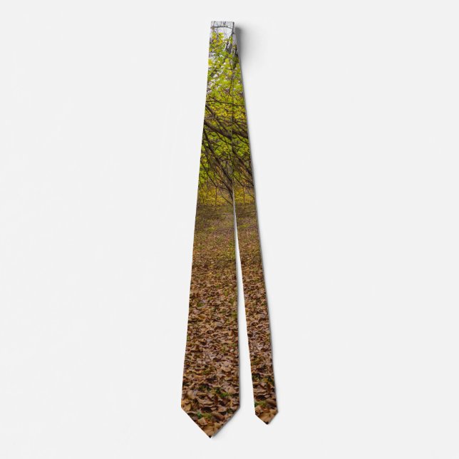 Corbata Autumn Walkway Tie (Anverso)