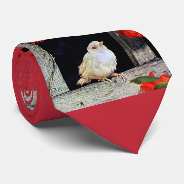 Corbata Ave albino robin RARE (Enrollado)