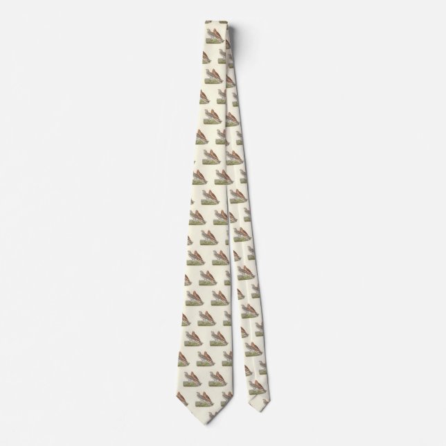Corbata Ave NY Harrier (Halcón de cola anillada) (Anverso)
