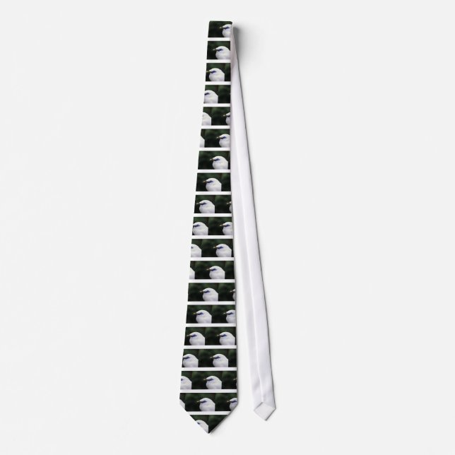 Corbata Aves (Anverso)