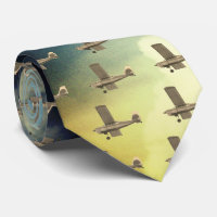 Avión en el cielo