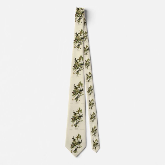 Corbata Balcón negro de los pájaros de América de Audubon (Anverso)