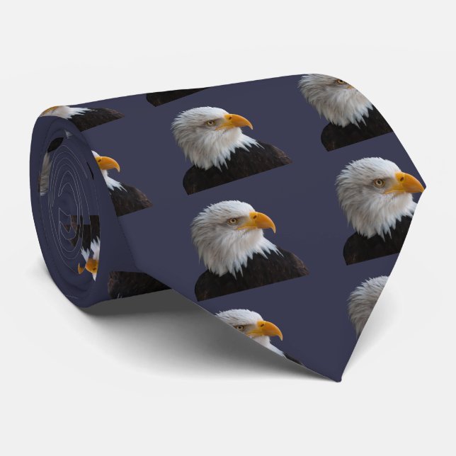 Corbata Bald eagle (Enrollado)