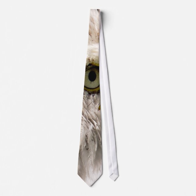 CORBATA BALD EAGLE (Anverso)