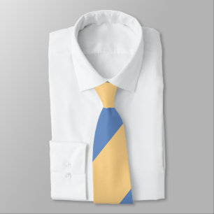 Corbata Banda conmemorativa Buff and Sky Blue Brote Regime