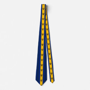 Corbata Bandera de Barbados