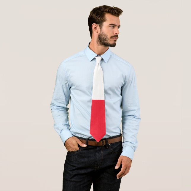 Corbata Bandera de Groenlandia (In situ)