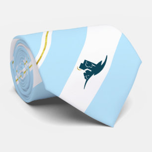 Corbata Bandera de la ciudad de Bloomington (Minnesota) Ne