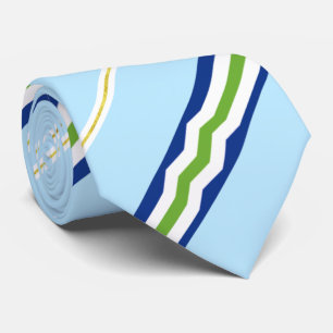 Corbata Bandera de la ciudad de Burlington (Vermont) Neck
