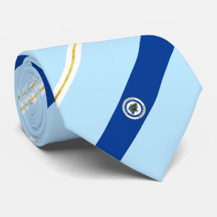 Corbata Bandera de la ciudad de Charleston del Norte (S. C