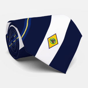 Corbata Bandera de la ciudad de Dover (Delaware) Nillo de