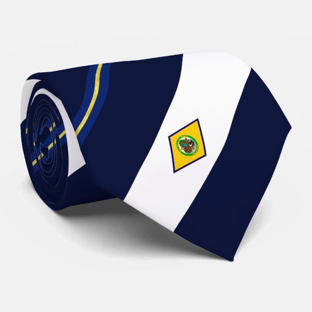 Corbata Bandera de la ciudad de Dover (Delaware) Nillo de  (Enrollado)