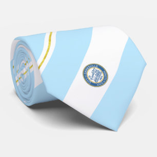Corbata Bandera de la ciudad de Gainesville (Florida)