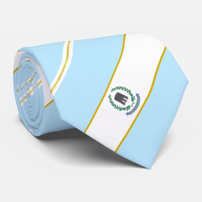 Corbata Bandera de la ciudad de Newport (Isla Rhode) (Enrollado)