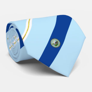 Corbata Bandera de la ciudad de Providence (Rhode Island) 