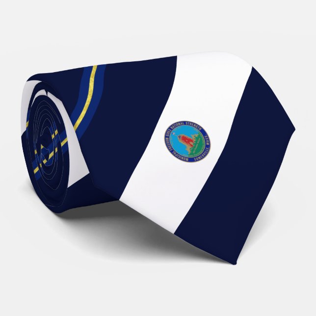 Corbata Bandera de la ciudad de Somerville (Massachusetts) (Enrollado)