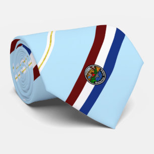 Corbata Bandera de la ciudad de Waterloo (Iowa) Neck Tie