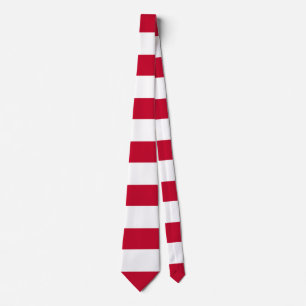 Corbata Bandera de los hijos de la libertad