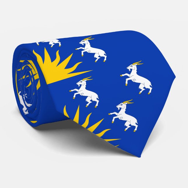 Corbata Bandera de Merionethshire Neck Tie (Enrollado)