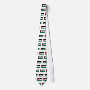 Corbata Bandera de Palestina
