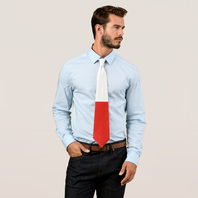 Corbata Bandera de Polonia (In situ)