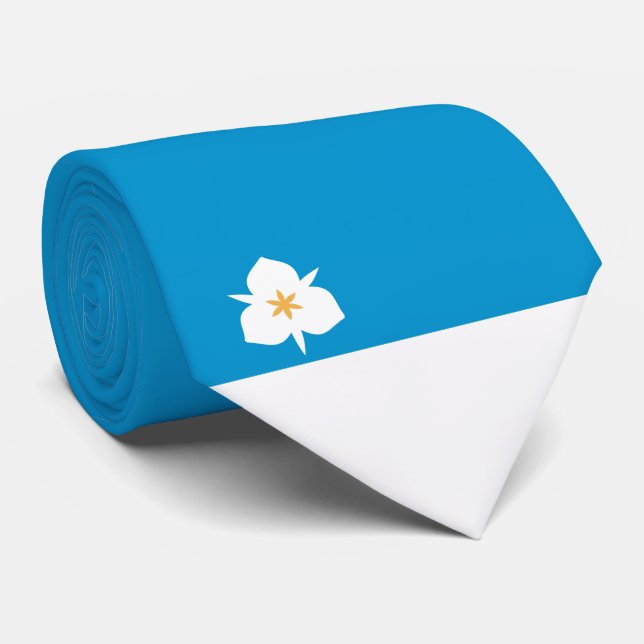 Corbata Bandera de Salt Lake City (Utah) (Enrollado)