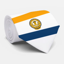 Bandera de San José (California)