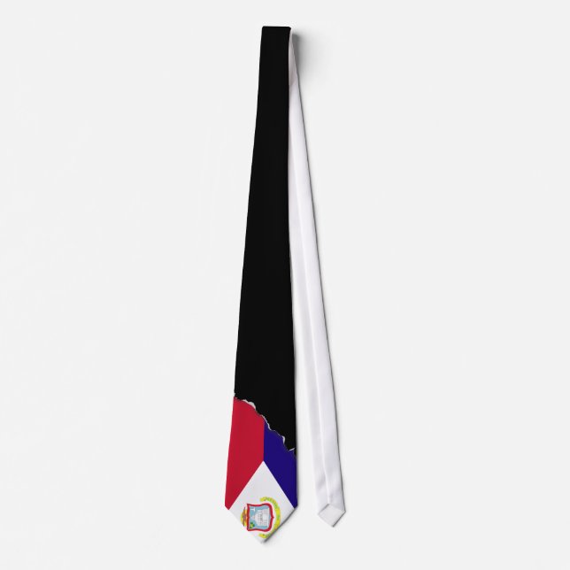 Corbata Bandera de San Martín (Anverso)