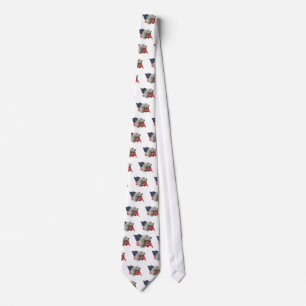 Corbata Bandera de Spinone Italiano