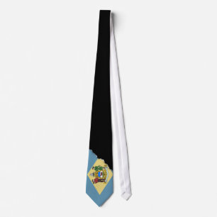 Corbata Bandera del estado de Delaware