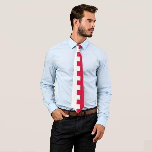 Corbata Bandera polaca y negocios con Polonia, viajes y de (In situ)