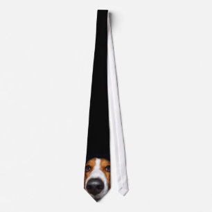 Corbata Basset Hound